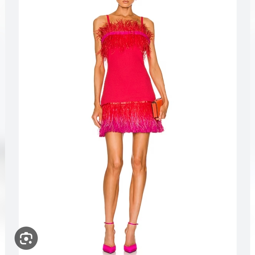 Red and Pink feather dress